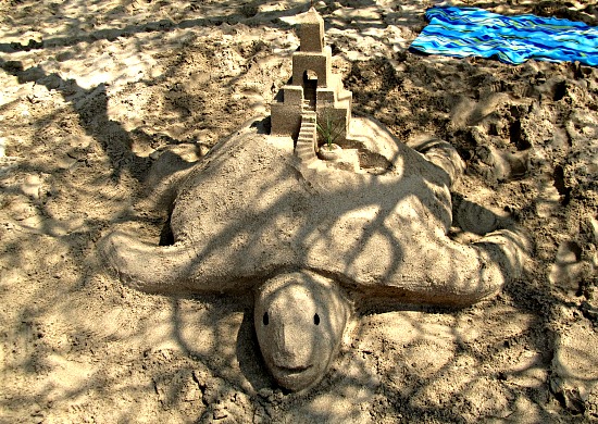 Sand castle turtle at Waialea Beach 69